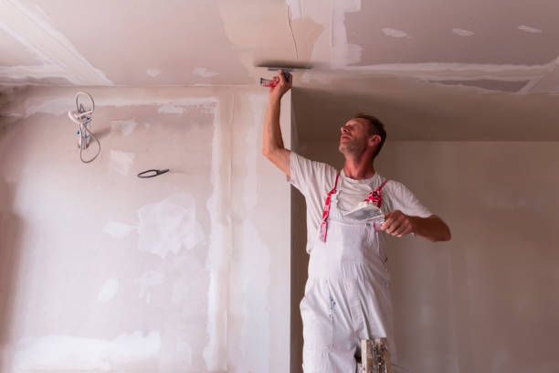  Bloomingdale, IL Dry wall and painting Pros