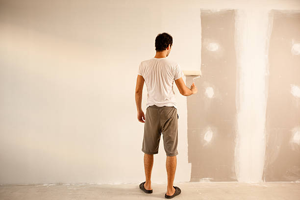 Best Drywall Sanding and Smoothing  in Bloomingdale, IL